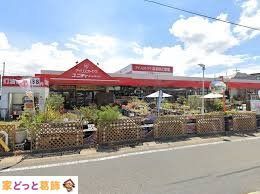  ���j�f�B�]�J�X �k��9���B 690m