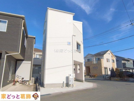 ���n�O�ώʐ^ �B�e��(2026-02-05 00:00:00)