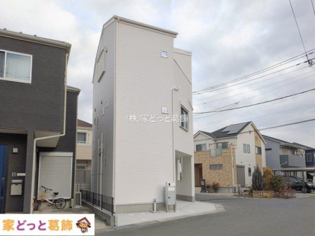 ���n�O�ώʐ^ �B�e��(2026-01-19 00:00:00)