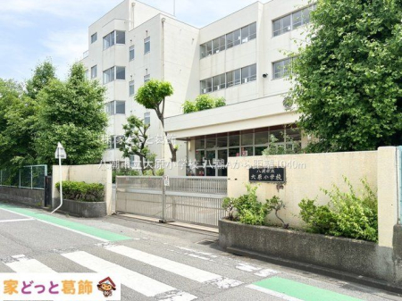 ���ӊ� �����s���匴���w�Z �B�e��(2024-05-21) 1040m