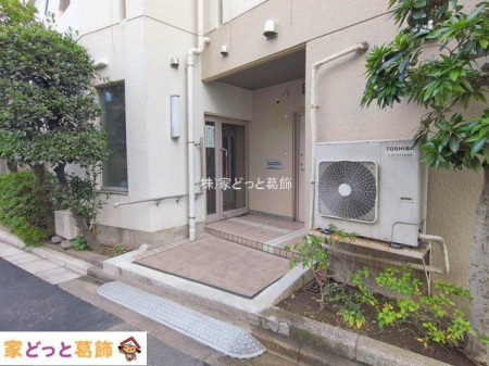 ���n�O�ώʐ^ �B�e��(2026-01-20 00:00:00)