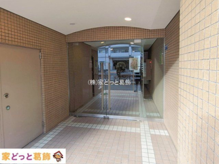 �G���g�����X �B�e��(2026-01-20)