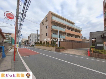 ���n�O�ώʐ^ �B�e��(2026-01-21 00:00:00)