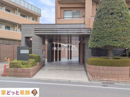 �G���g�����X �B�e��(2026-01-21)