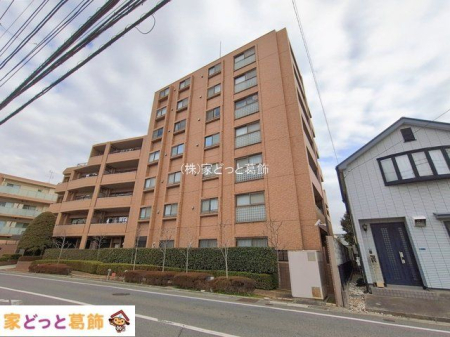 ���n�O�ώʐ^ �B�e��(2026-01-21 00:00:00)