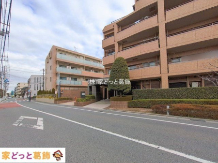 ���n�O�ώʐ^ �B�e��(2026-01-21 00:00:00)