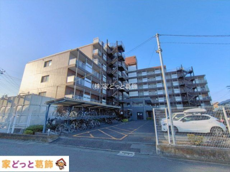 ���n�O�ώʐ^ �B�e��(2026-01-30 00:00:00)