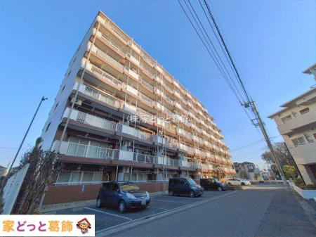 ���n�O�ώʐ^ �B�e��(2026-01-30 00:00:00)