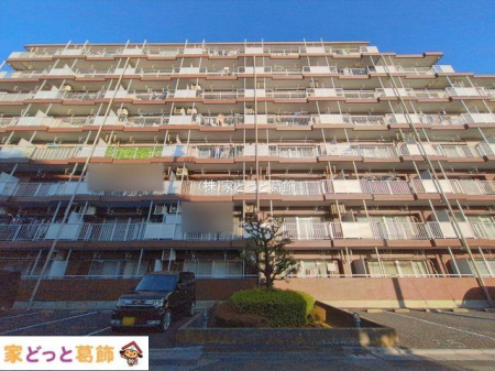 ���n�O�ώʐ^ �B�e��(2026-01-30 00:00:00)