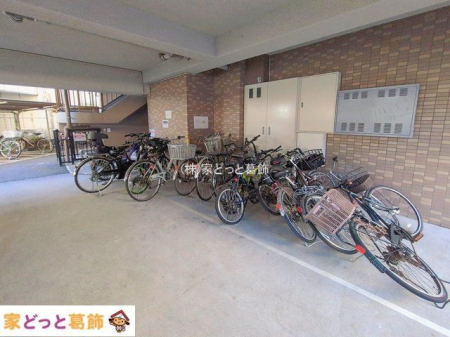 ���n�O�ώʐ^ �B�e��(2026-02-03 00:00:00)