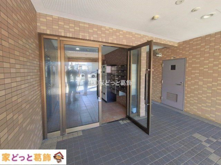 �G���g�����X �B�e��(2026-02-03)