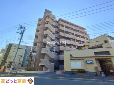 ���n�O�ώʐ^ �B�e��(2026-01-13 00:00:00)