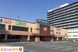 ���ӊ� �x���N�t�H���e�s���X �k��10���B 800m