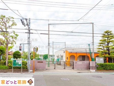 ���ӊ� �����旧�ђˏ��w�Z �B�e��(2022-04-27) 220m