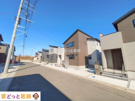 ���n�O�ώʐ^ �B�e��(2026-02-04)