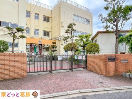 ���ӊ� �����旧�������w�Z �B�e��(2022-05-12) 500m