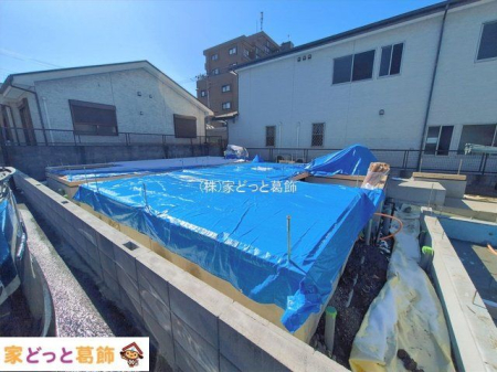 ���n�O�ώʐ^ �B�e��(2026-02-09 00:00:00)