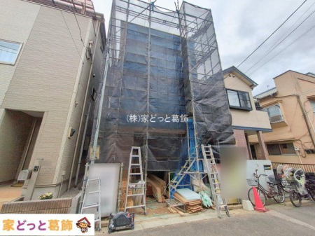 ���n�O�ώʐ^ �B�e��(2026-01-28)