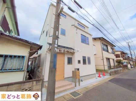 ���n�O�ώʐ^ �B�e��(2025-11-18 00:00:00)