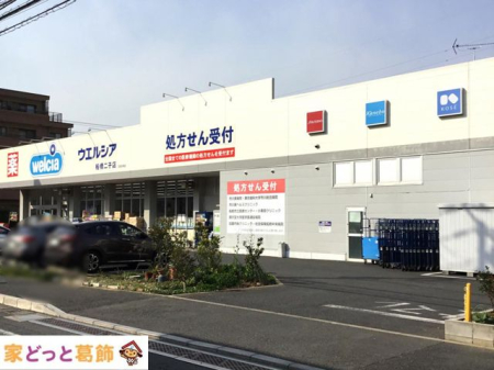 ���ӊ� �E�G���V�A�D����q�X �k��1���B 40m