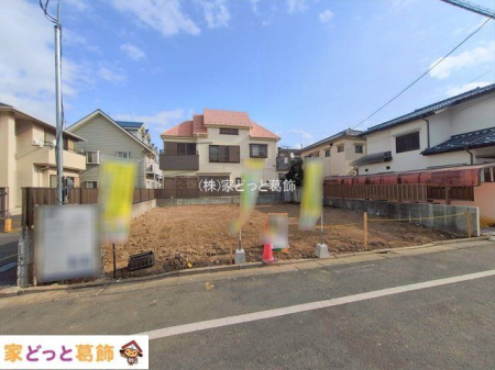 ���n�O�ώʐ^ �B�e��(2026-01-19 00:00:00)