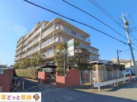 ���n�O�ώʐ^ �B�e��(2026-02-02 00:00:00)