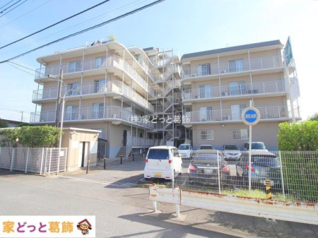 ���n�O�ώʐ^ �B�e��(2024-10-02 00:00:00)