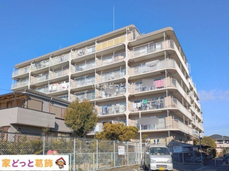 ���n�O�ώʐ^ �B�e��(2026-02-02)