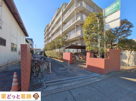 �G���g�����X �B�e��(2026-02-02 00:00:00)