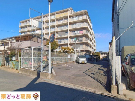 ���n�O�ώʐ^ �B�e��(2026-02-02 00:00:00)