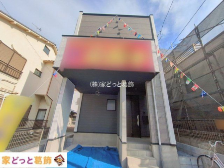 ���n�O�ώʐ^ �B�e��(2026-02-12 00:00:00)