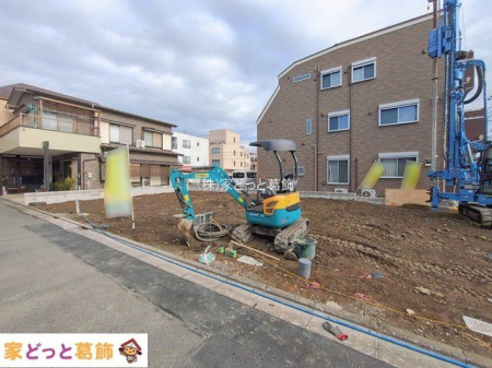 ���n�O�ώʐ^ �B�e��(2026-02-12 00:00:00)