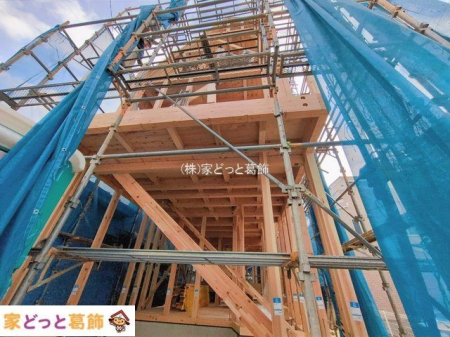 ���n�O�ώʐ^ �B�e��(2026-02-24 00:00:00)