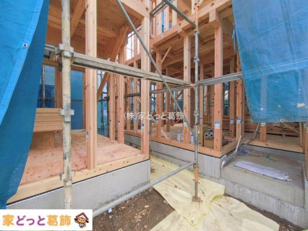 ���n�O�ώʐ^ �B�e��(2026-02-24 00:00:00)