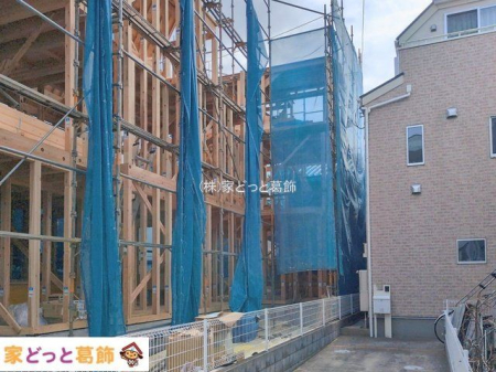 ���n�O�ώʐ^ �B�e��(2026-02-24 00:00:00)