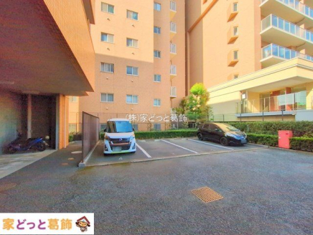 ���n�O�ώʐ^ �B�e��(2025-01-24 00:00:00)