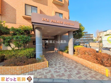 �G���g�����X �B�e��(2025-01-24)