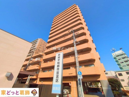 ���n�O�ώʐ^ �B�e��(2025-01-24 00:00:00)