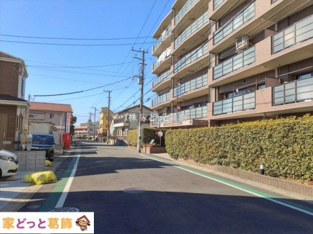 ���n�O�ώʐ^ �B�e��(2026-02-03 00:00:00)