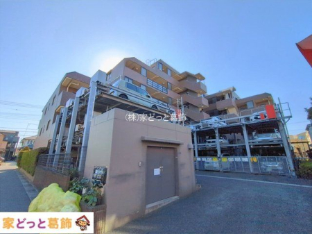 ���n�O�ώʐ^ �B�e��(2026-02-03 00:00:00)