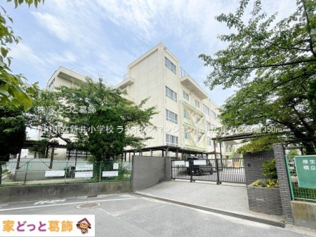 ���ӊ� �s��s���V�䏬�w�Z �B�e��(2024-06-06) 350m