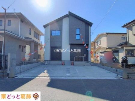 ���n�O�ώʐ^ �B�e��(2026-02-19 00:00:00)