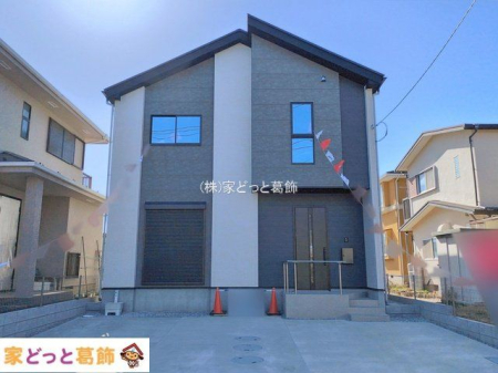 ���n�O�ώʐ^ �B�e��(2026-02-19 00:00:00)