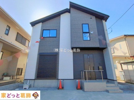 ���n�O�ώʐ^ �B�e��(2026-02-19 00:00:00)