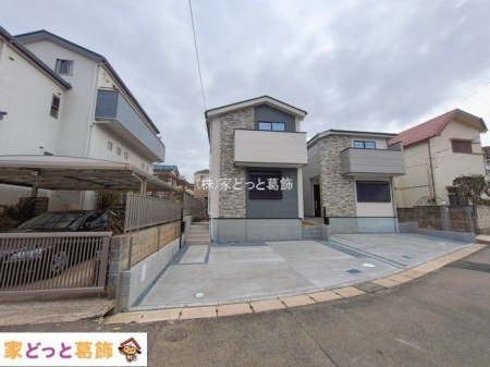 ���n�O�ώʐ^ �B�e��(2026-02-20 00:00:00)