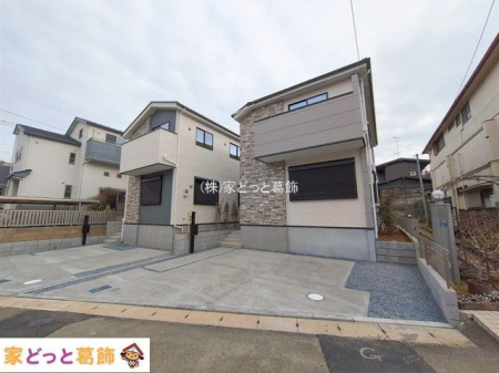 ���n�O�ώʐ^ �B�e��(2026-02-20 00:00:00)