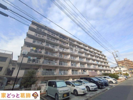 ���n�O�ώʐ^ �B�e��(2026-02-17 00:00:00)