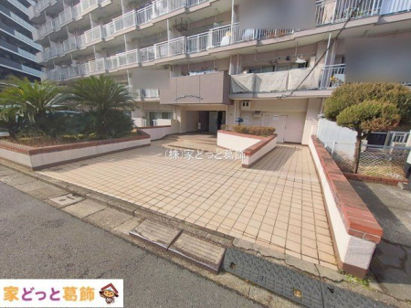 �G���g�����X �B�e��(2026-02-17 00:00:00)