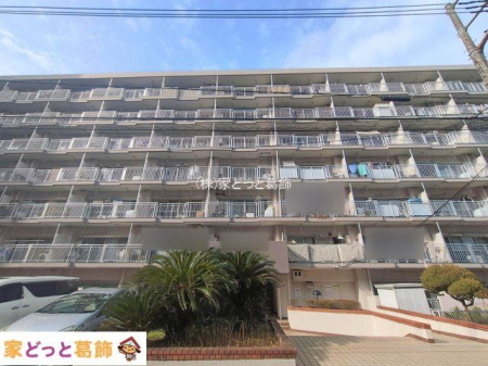 ���n�O�ώʐ^ �B�e��(2026-02-17 00:00:00)