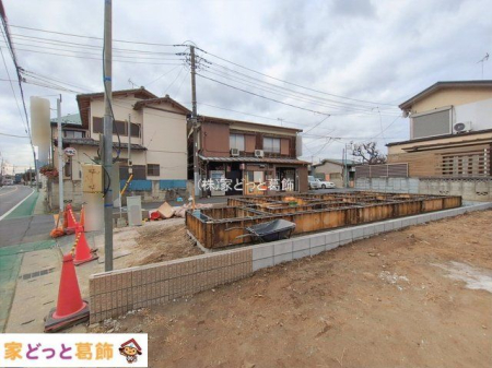 ���n�O�ώʐ^ �B�e��(2026-02-20 00:00:00)